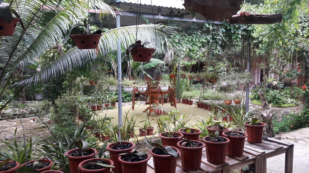Homestay Lan Rung Nghia Lo 외부 사진