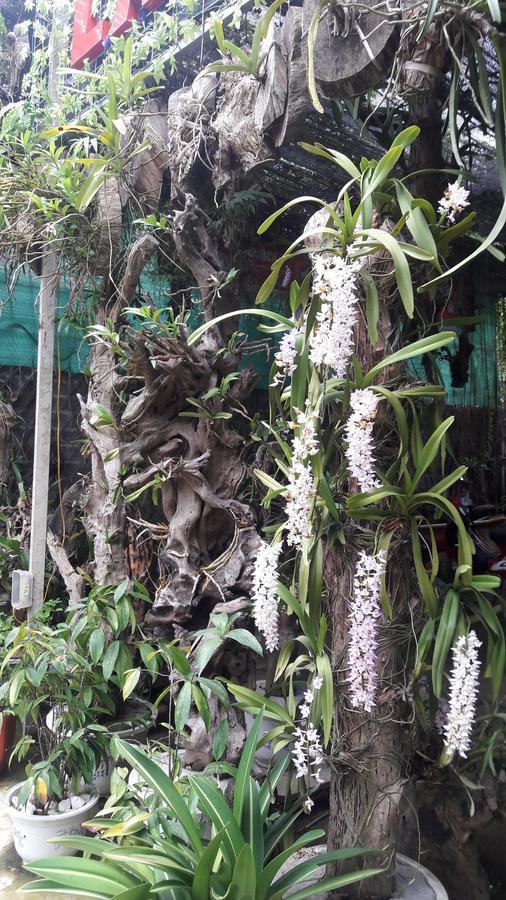 Homestay Lan Rung Nghia Lo 외부 사진