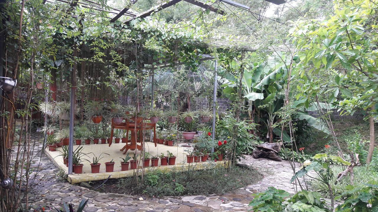 Homestay Lan Rung Nghia Lo 외부 사진